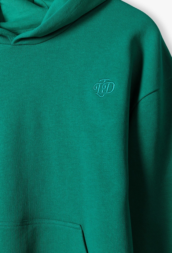 Bluza nierozpinana z kapturem