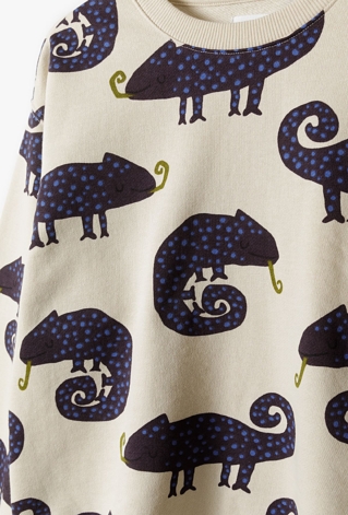 Bluza w kameleony dla małego chłopca - 5.10.15.