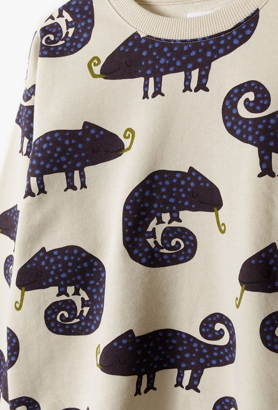 Bluza w kameleony dla małego chłopca - 5.10.15.