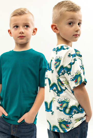 T-shirt dla chłopca- dwupak