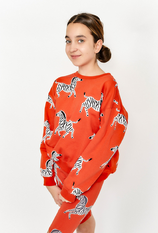 Bluza dresowa dla dziewczynki - czerwona w zebry