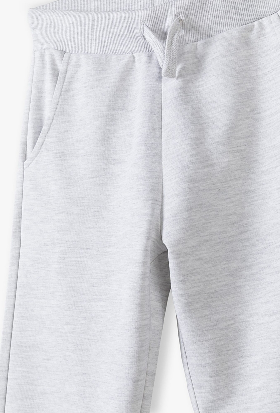 Szare spodnie dresowe - regular - Lincoln&Sharks