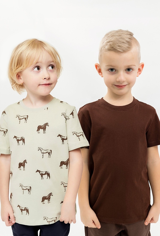 T-shirt chłopięcy 2-pak