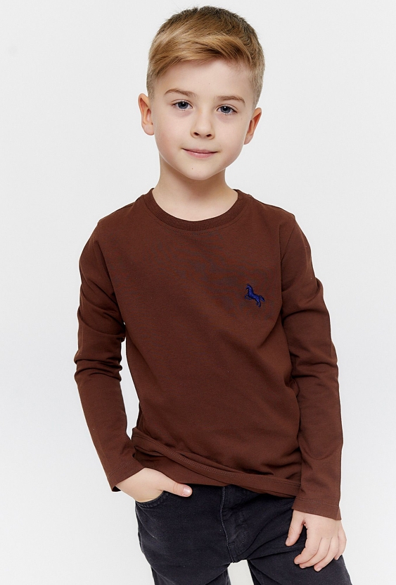 Bluzki chłopięce z długim rękawem 2-pak