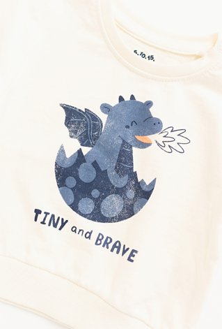 Bluza nierozpinana na stójce