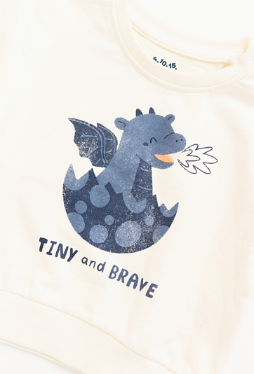 Bluza nierozpinana na stójce