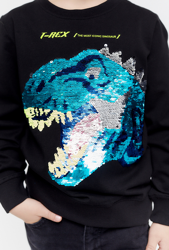 Bluza z długim rękawem z dinozaurem