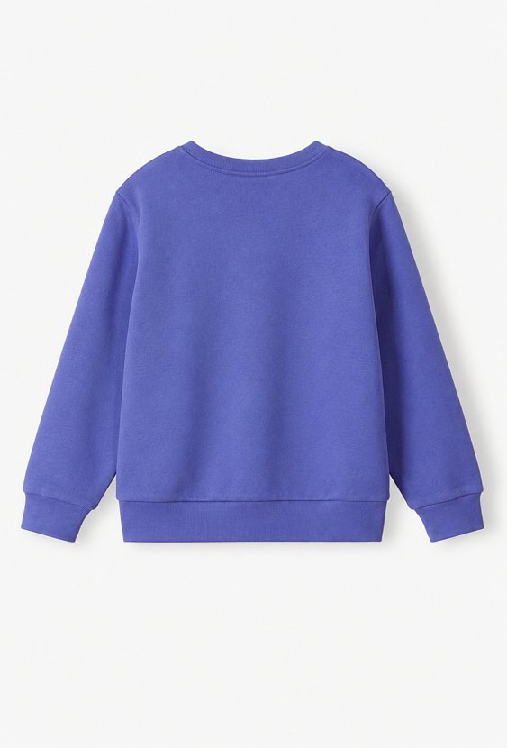 Bluza chłopięca