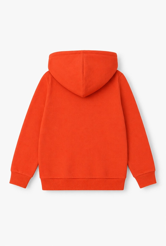 Bluza dla chłopca z kapturem