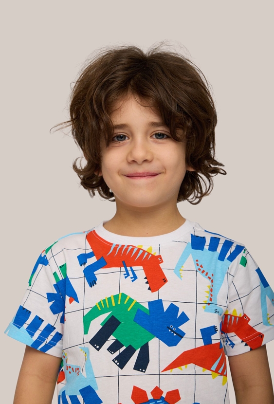 Koszulka chłopięca w dinozaury