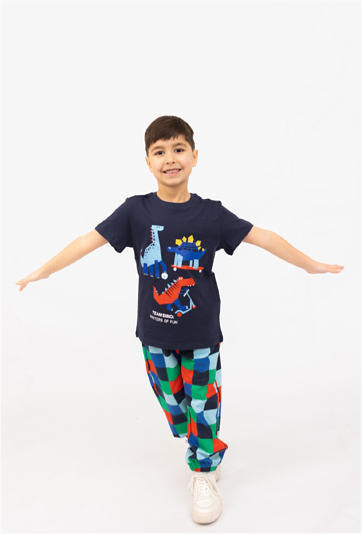 Koszulka chłopięca  „Dinozaury”