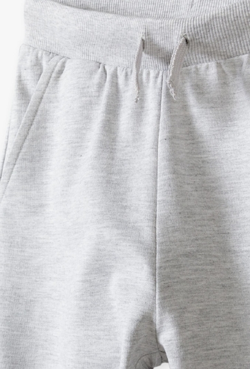 Szare spodnie dresowe - basic - Lincoln&Sharks