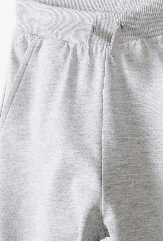 Szare spodnie dresowe - basic - Lincoln&Sharks