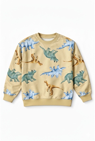 Bluza chłopięca dinozaury