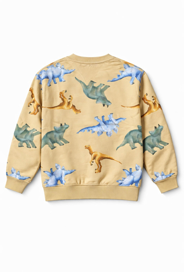 Bluza chłopięca dinozaury