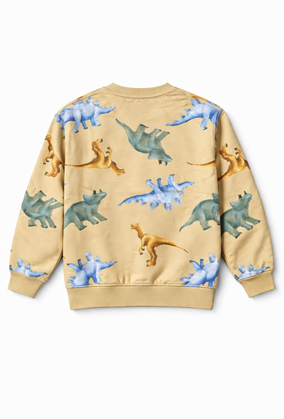 Bluza chłopięca dinozaury
