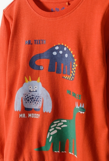 Bluza chłopięca z dinozaurami