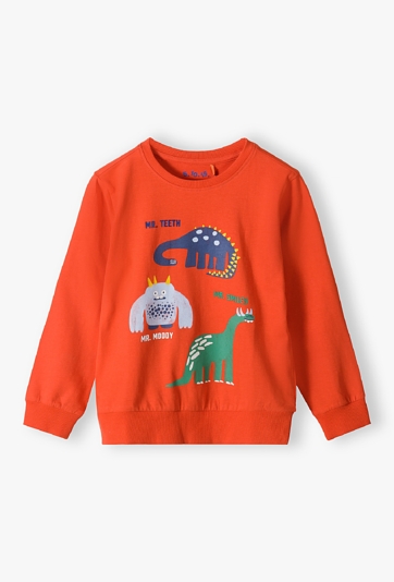 Bluza chłopięca z dinozaurami