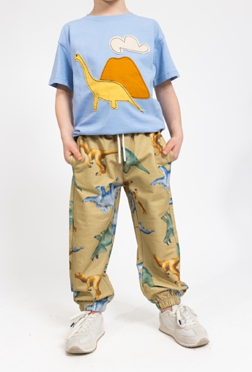 Spodnie dresowe chłopięce - dinozaury