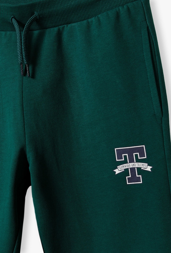 Dzianinowe spodnie dresowe dla chłopca - Lincoln&Sharks