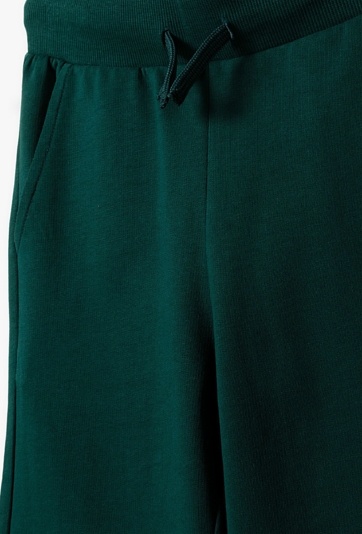 Spodnie dresowe dla chłopca - slim - Lincoln&Sharks