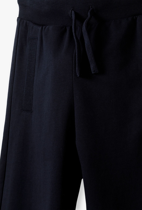 Spodnie dresowe dla chłopca - slim - Lincoln&Sharks