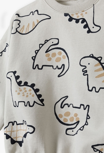 Bluza dresowa - szara w dinozaury - 5.10.15.