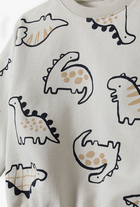 Bluza dresowa - szara w dinozaury - 5.10.15.