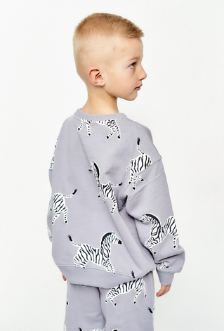 Bluza dresowa dla chłopca - szara w zebry