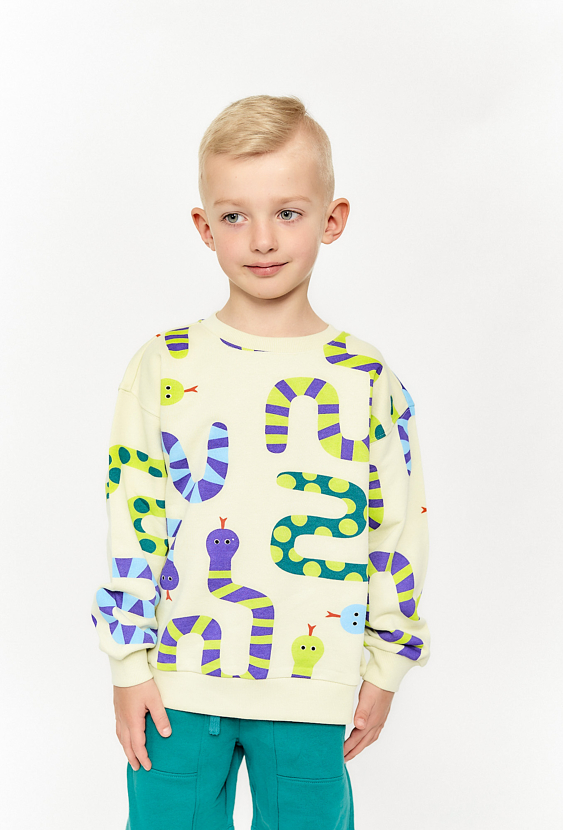 Bluza nierozpinana  z nadrukiem