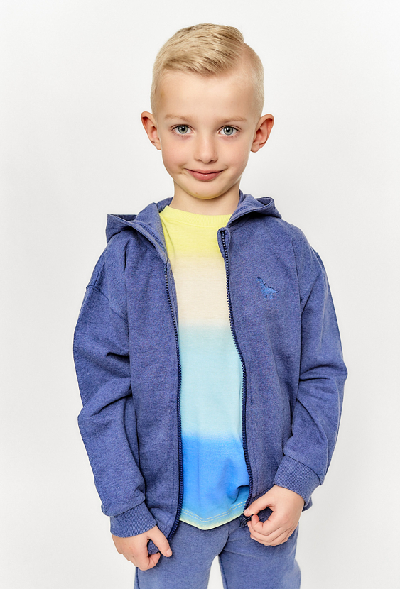 Bawełniana bluza dla chłopca - niebieska z dinozaurem