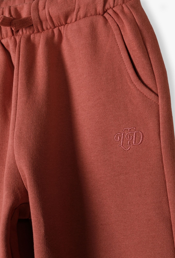 Spodnie dresowe dla dziewczynki - 2pak - Limited Edition