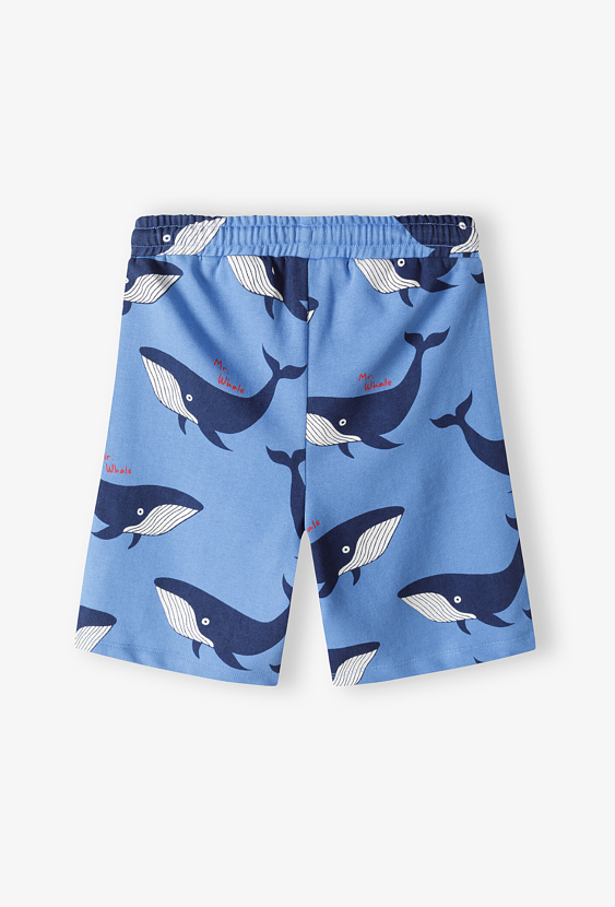 Zestaw 2 par szortów dresowych chłopięcych