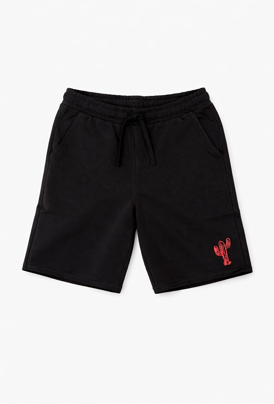 Chłopięce szorty dzianinowe z haftem kaktusa
